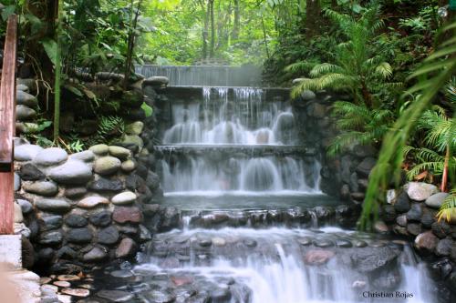 Fotografia de christian - Galeria Fotografica: flora y fauna - Foto: 		termal						