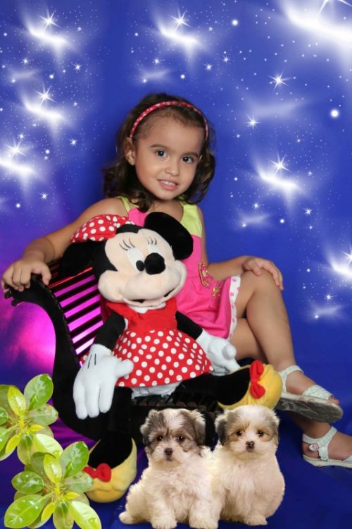 Fotografia de FOTO ESTUDIO PROFESIONAL DIGITAL  Y CREATIVO - Galeria Fotografica: fotografia infantil - Foto: 