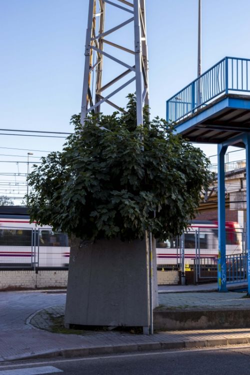 Fotografia de Mauro Fernndez - Galeria Fotografica: Urbana - Foto: 