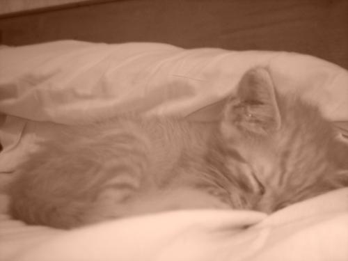 Fotografia de Marina - Galeria Fotografica: Vicente Leon - Foto: Vicente Le�n