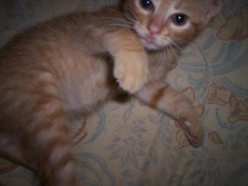 Fotografia de Marina - Galeria Fotografica: Vicente Leon - Foto: 