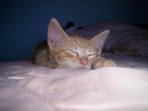 Fotografia de Marina - Galeria Fotografica: Vicente Leon - Foto: Vicente Le�n