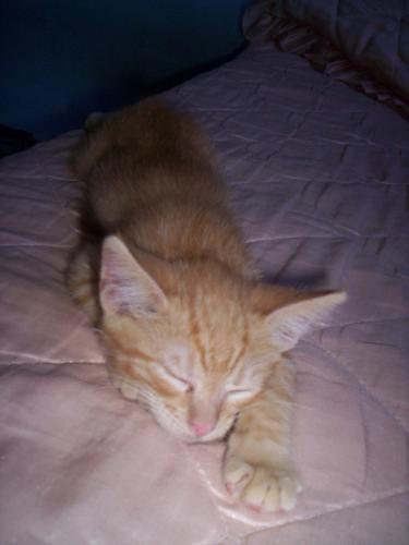 Fotografia de Marina - Galeria Fotografica: Vicente Leon - Foto: Vicente Le�n