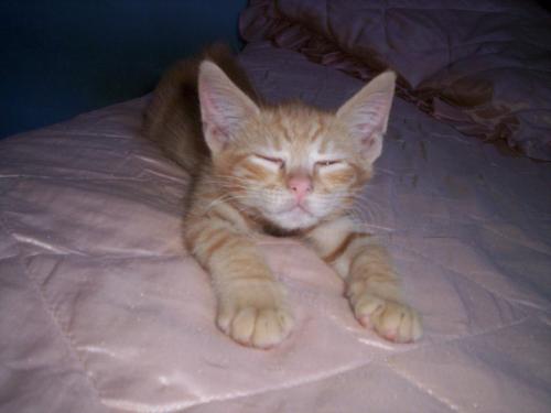 Fotografia de Marina - Galeria Fotografica: Vicente Leon - Foto: Vicente Le�n