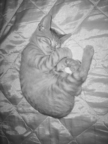 Fotografia de Marina - Galeria Fotografica: Vicente Leon - Foto: Vicente Le�n