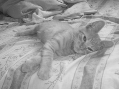 Fotografia de Marina - Galeria Fotografica: Vicente Leon - Foto: Vicente Le�n