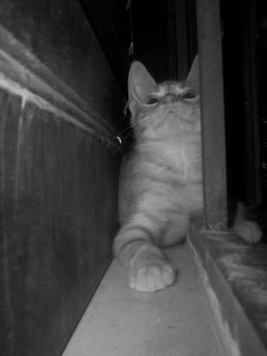 Fotografia de Marina - Galeria Fotografica: Vicente Leon - Foto: Vicente Le�n