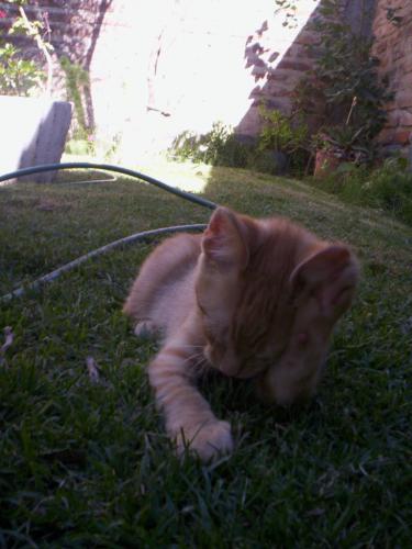 Fotografia de Marina - Galeria Fotografica: Vicente Leon - Foto: Vicente Le�n