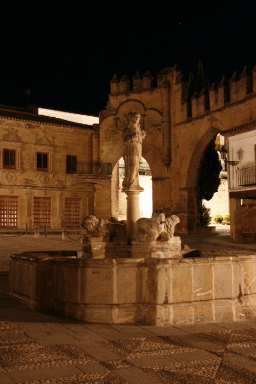 Fotografia de pardo caeiro - Galeria Fotografica: baeza - Foto: 