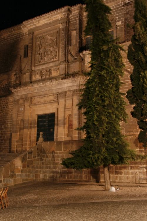 Fotografia de pardo caeiro - Galeria Fotografica: baeza - Foto: 