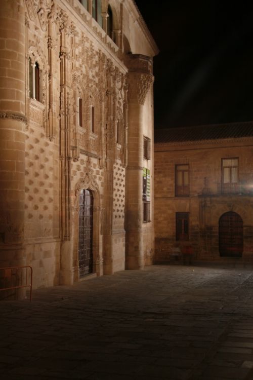 Fotografia de pardo caeiro - Galeria Fotografica: baeza - Foto: 