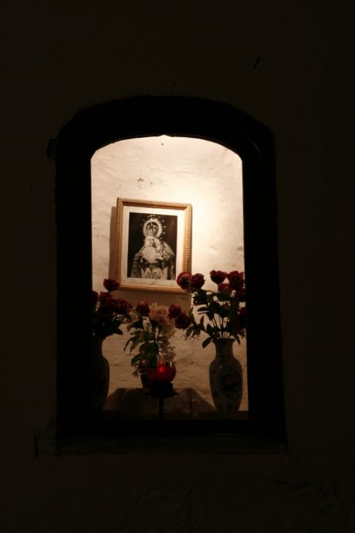 Fotografia de pardo caeiro - Galeria Fotografica: baeza - Foto: 