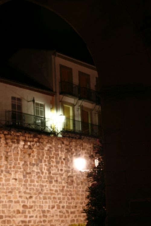 Fotografia de pardo caeiro - Galeria Fotografica: baeza - Foto: 