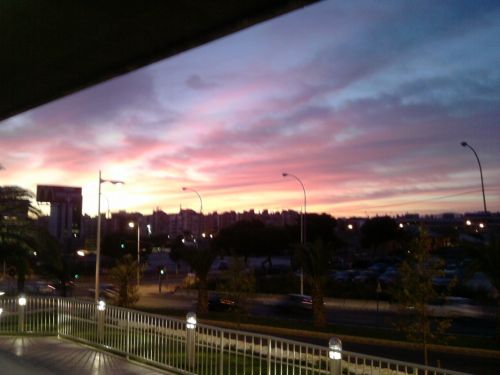 Fotografia de bea b.v. - Galeria Fotografica: my first - Foto: 