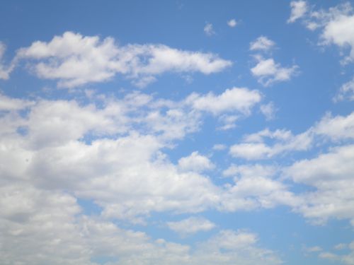 Fotografia de bea b.v. - Galeria Fotografica: my first - Foto: 