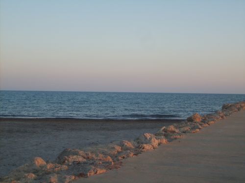 Fotografia de bea b.v. - Galeria Fotografica: my first - Foto: 