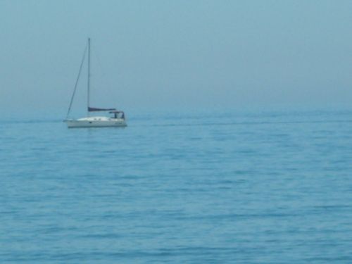 Fotografia de bea b.v. - Galeria Fotografica: my first - Foto: 