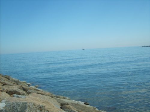 Fotografia de bea b.v. - Galeria Fotografica: my first - Foto: 