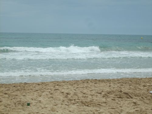 Fotografia de bea b.v. - Galeria Fotografica: my first - Foto: 