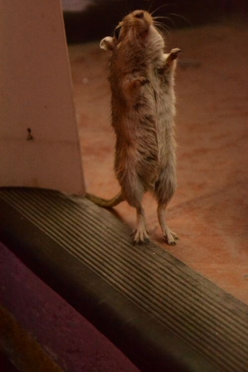 Fotografia de Chinita Laral - Galeria Fotografica: The begining - Foto: 