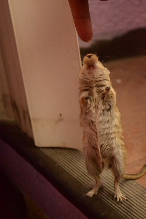 Fotografia de Chinita Laral - Galeria Fotografica: The begining - Foto: 