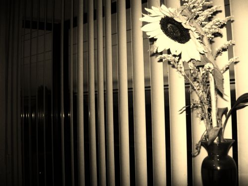 Fotografia de Chinita Laral - Galeria Fotografica: The begining - Foto: 