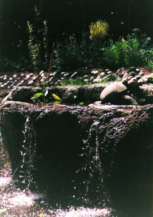 Fotografia de Chinita Laral - Galeria Fotografica: The begining - Foto: 