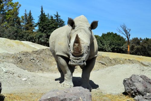 Fotografia de Chinita Laral - Galeria Fotografica: The begining - Foto: 