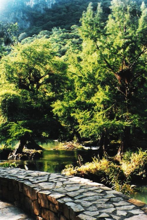 Fotografia de Chinita Laral - Galeria Fotografica: The begining - Foto: 