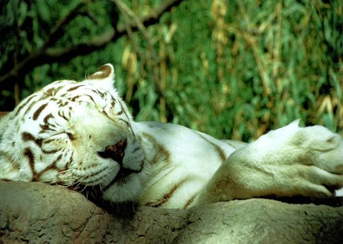 Fotografia de Chinita Laral� - Galeria Fotografica: The begining - Foto: 