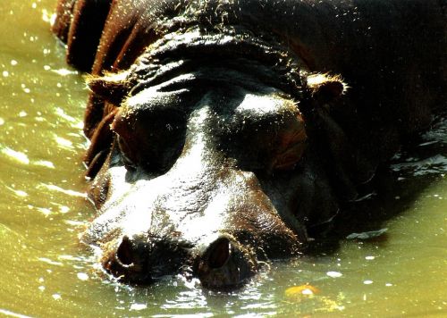 Fotografia de Chinita Laral - Galeria Fotografica: The begining - Foto: 