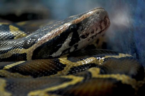 Fotografia de Chinita Laral� - Galeria Fotografica: The begining - Foto: 