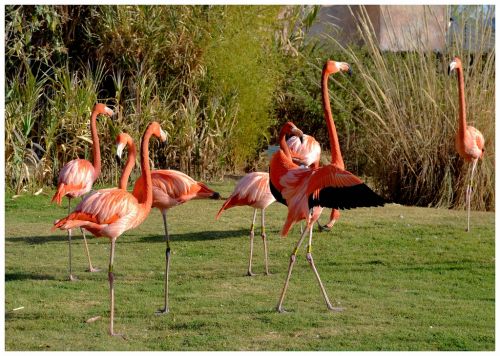 Fotografia de Chinita Laral - Galeria Fotografica: The begining - Foto: 