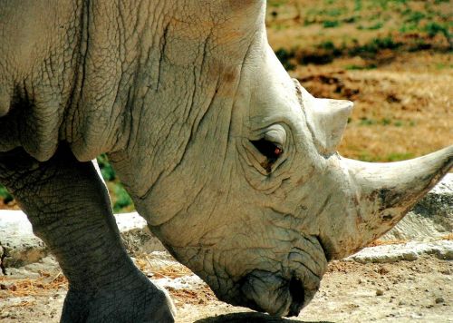 Fotografia de Chinita Laral - Galeria Fotografica: The begining - Foto: 