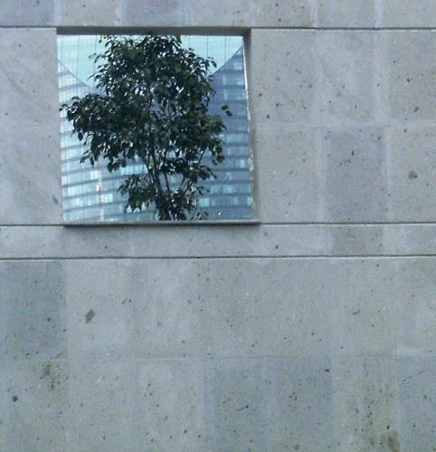 Fotografia de Artiphoto - Galeria Fotografica: casuales del diario - Foto: 