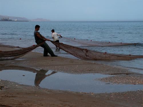 Fotografia de ninguno - Galeria Fotografica: Imagenes - Foto: Redes