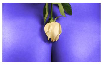 Fotografia de Carlos Carpier - Galeria Fotografica: Desnudos - Foto: Desnudo 5