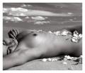 Foto de  Carlos Carpier - Galería: Desnudos - Fotografía: Desnudo 11