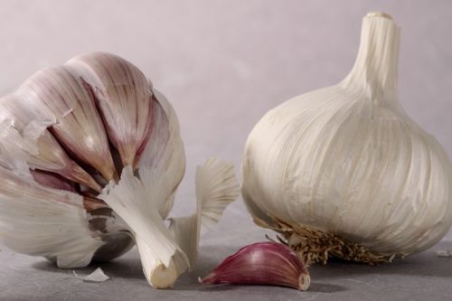 Fotografia de Ludozoom - Galeria Fotografica: Huevo volando - Foto: Ajo