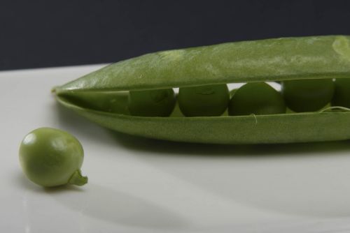 Fotografia de Ludozoom - Galeria Fotografica: Huevo volando - Foto: Guisantes