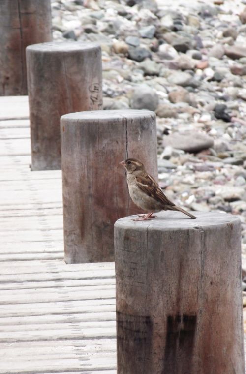 Fotografia de Jorge Arcos G. - Galeria Fotografica: varias 2011 - Foto: 