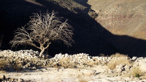 Fotografia de Jorge Arcos G. - Galeria Fotografica: varias 2011 - Foto: 