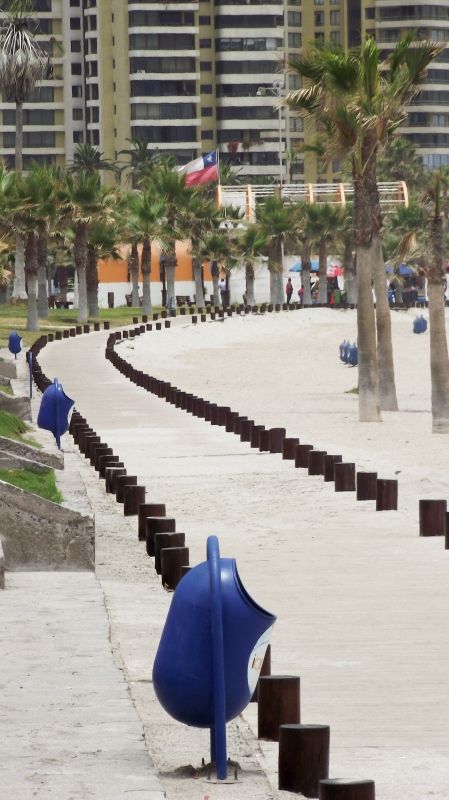 Fotografia de Jorge Arcos G. - Galeria Fotografica: varias 2011 - Foto: 