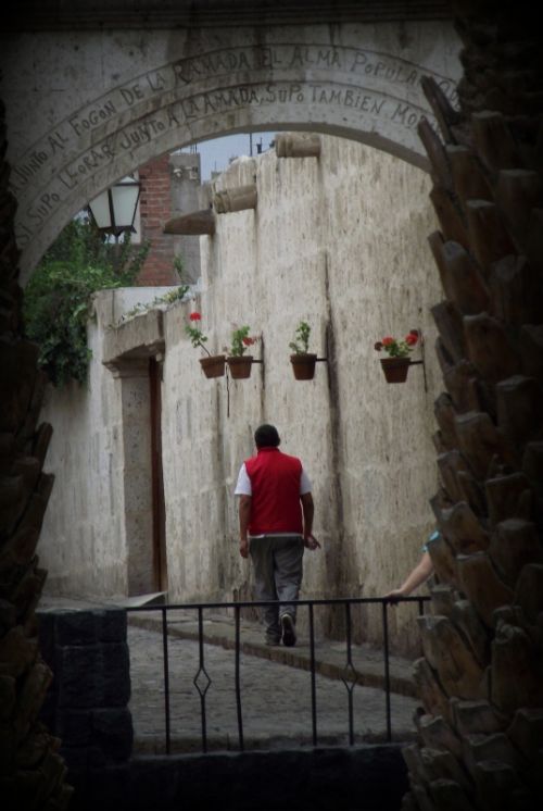 Fotografia de Jorge Arcos G. - Galeria Fotografica: varias 2011 - Foto: 