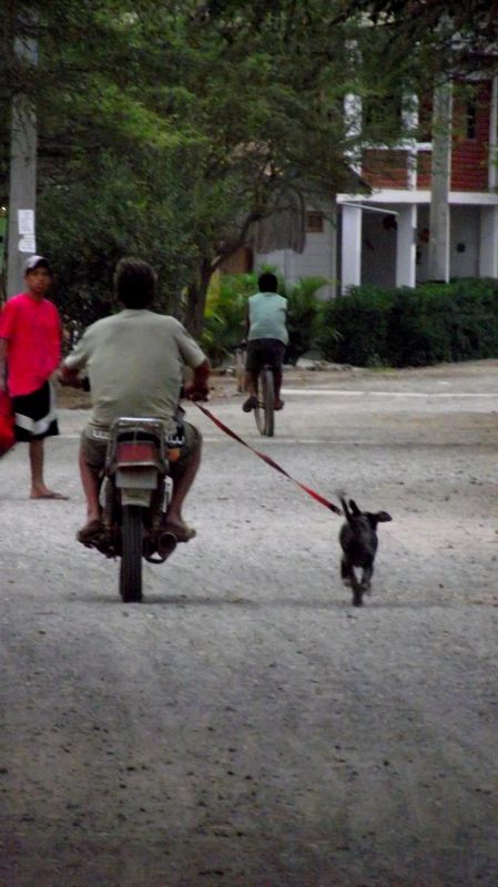 Fotografia de Jorge Arcos G. - Galeria Fotografica: varias 2011 - Foto: 