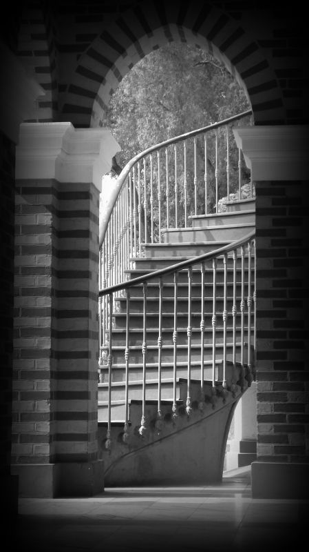 Fotografia de Jorge Arcos G. - Galeria Fotografica: varias 2011 - Foto: 