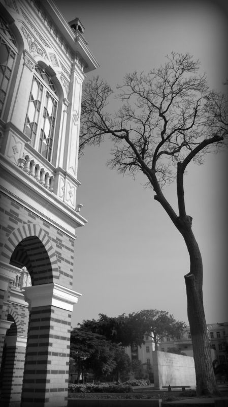 Fotografia de Jorge Arcos G. - Galeria Fotografica: varias 2011 - Foto: 