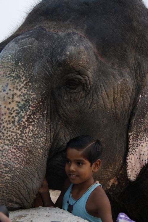 Fotografia de D & D Fotografia Digital - Galeria Fotografica: Personas y lugares - Foto: Amigos inseparables