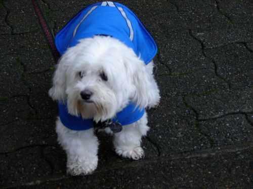 Fotografia de D & D Fotografia Digital - Galeria Fotografica: Personas y lugares - Foto: 