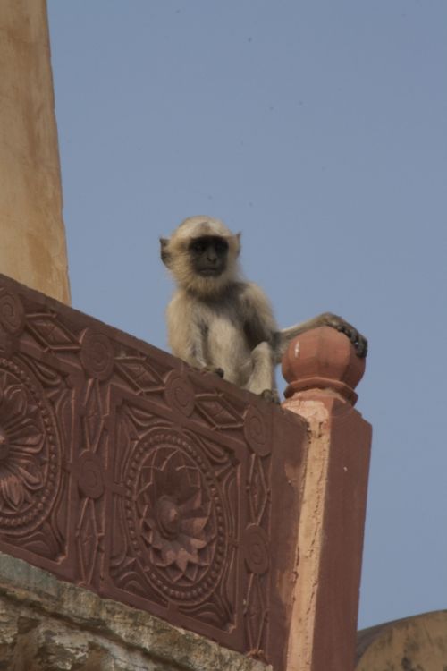 Fotografia de D & D Fotografia Digital - Galeria Fotografica: Personas y lugares - Foto: 